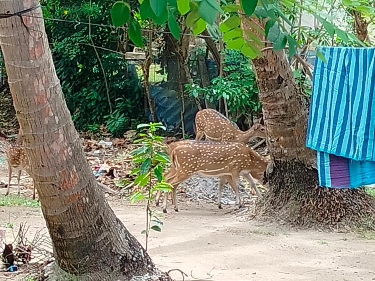 Priyanna Guest, Forest View Polonnaruwa Bagian luar foto