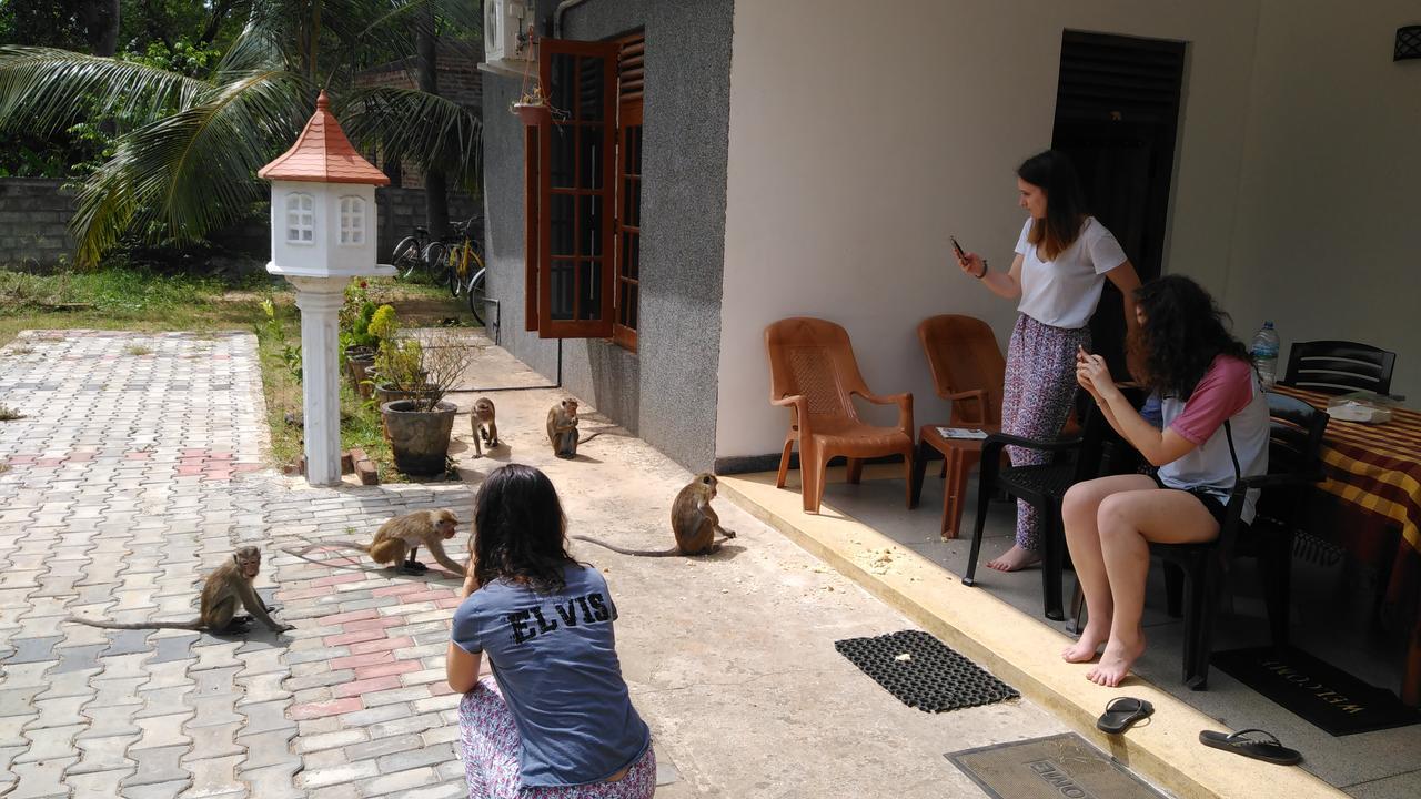 Priyanna Guest, Forest View Polonnaruwa Bagian luar foto